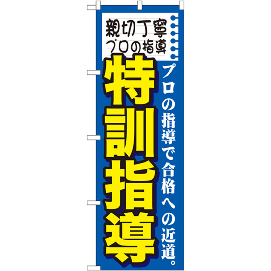 のぼり旗 特訓指導 (GNB-1594)