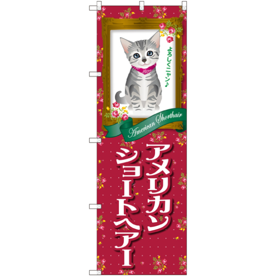 のぼり旗 アメリカンショートヘアー (GNB-2418)