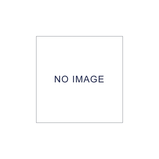 電動清掃用品 乾式用掃除機 ドライバキュームクリーナー (RD-ECO2・370) 用 紙パック (10枚入) (EP-525-025-0)