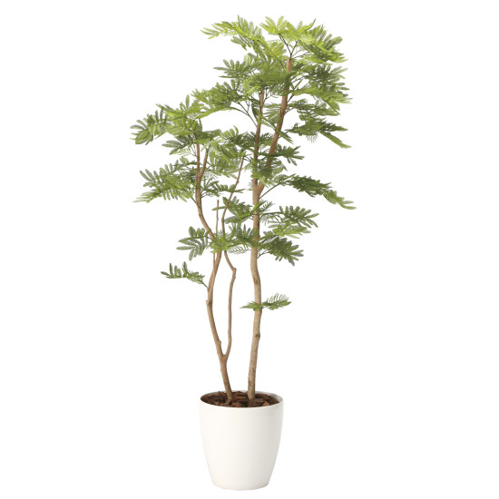 光触媒 人工観葉植物 ねむの木1.6(ポリ製) (高さ160cm)