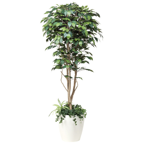 光触媒 人工観葉植物 造花 フィカスベンジャミン1.8植栽付  (高さ180cm)