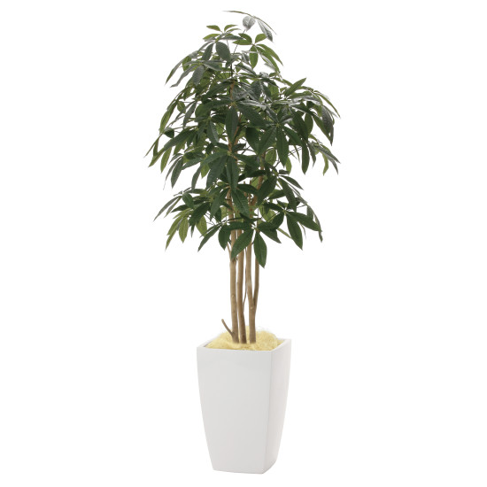 光触媒 人工観葉植物 造花 アーバンパキラ1.8 (高さ180cm)