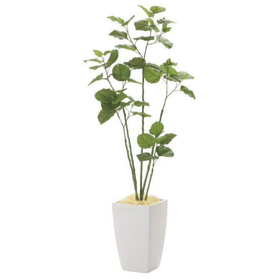 光触媒 人工観葉植物 造花 アーバンブランチウンベラータ1.8 (高さ180cm)