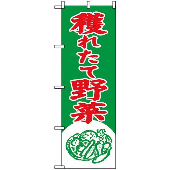 のぼり旗 (2247) 穫れたて野菜