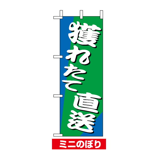 ミニのぼり旗 (9537) W100×H280mm 獲れたて直送