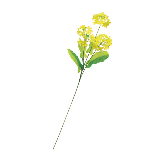 【2025年春商品】菜の花x4輪 (No177-18_01)