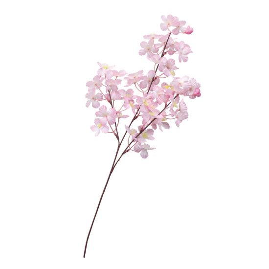 【2025年春商品】中桜ブランチ 3本立 (No177-12_06)
