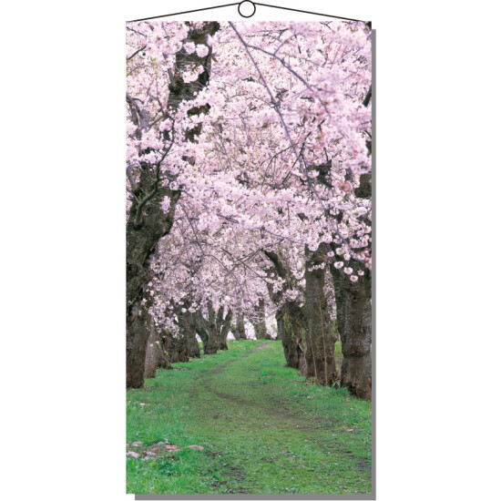 【2025年春商品】タペストリー 桜新緑 (No177-03_06)