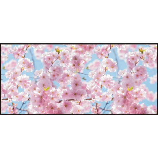 【2025年春商品】ディスプレイシート 桜 (No177-04_02)