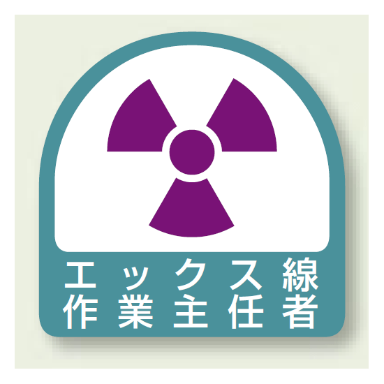 作業就任者ステッカー エックス線作業主任者 2枚1組 (851-33)