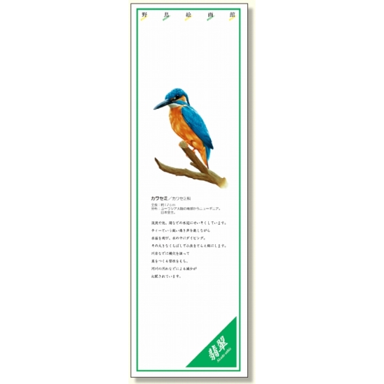 シールギャラリー 野鳥絵画館 カワセミ (916-41)