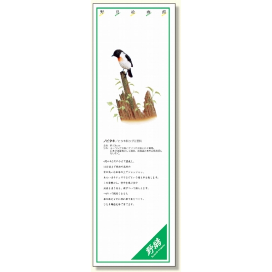 シールギャラリー 野鳥絵画館 ノビタキ (916-43)