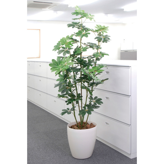光触媒 人工観葉植物 カポック 1.8 (高さ180cm) - 店舗用品通販の 