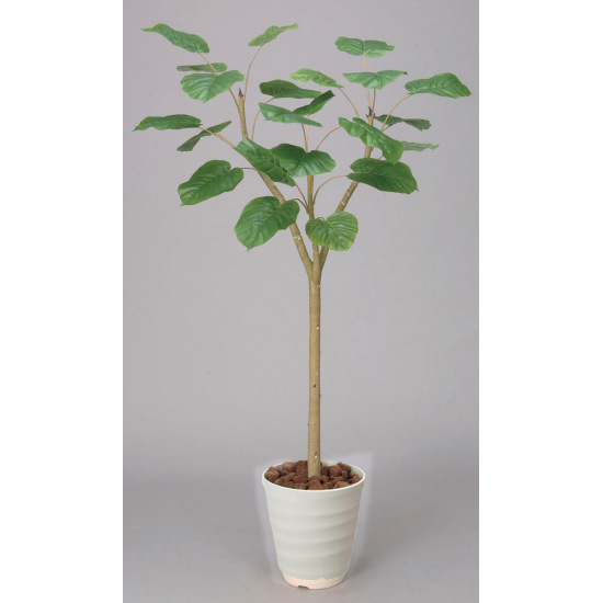 光触媒 人工観葉植物 ウンベラータ  1.55 (高さ155cm)