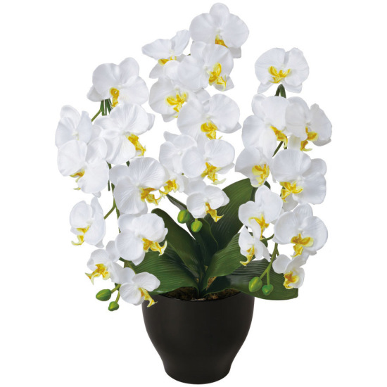 光触媒 人工観葉植物 造花 胡蝶蘭セリースW (高さ66cm)