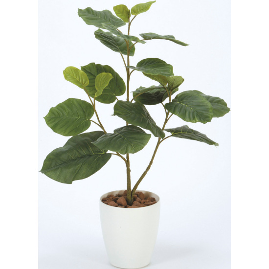 光触媒 人工観葉植物 造花 ウンベラ―タ80 (高さ80cm)