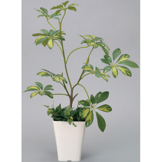 光触媒 人工観葉植物 シェフレラ (高さ68cm)