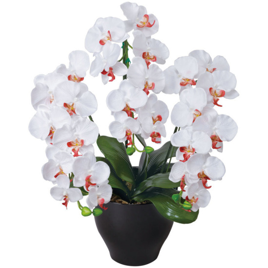 光触媒 人工観葉植物 造花 胡蝶蘭セリースW/AB (高さ66cm)