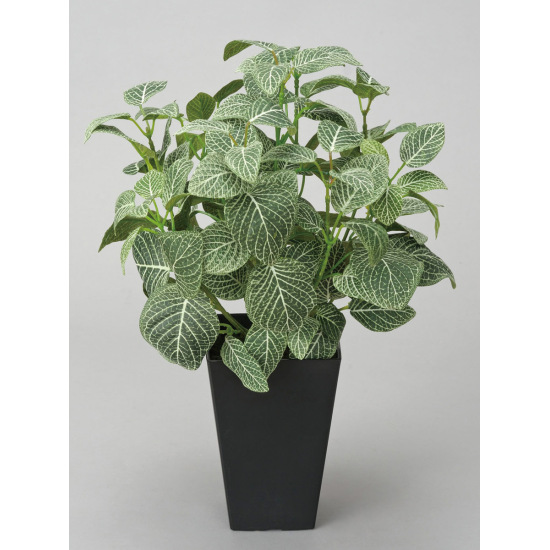 光触媒 人工観葉植物 フィットニア(フロック加工) (高さ43cm)