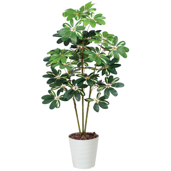 光触媒 人工観葉植物 造花 カポック斑入り1.2 (高さ120cm)
