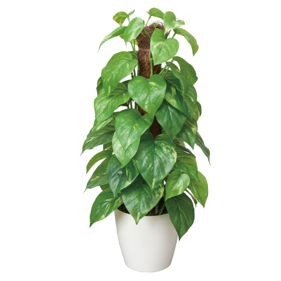 光触媒 人工観葉植物 造花 フレッシュポールポトス (高さ48cm)