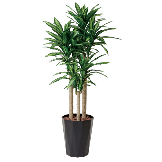 光触媒 人工観葉植物 造花 幸福の木 1.8 (高さ180cm)