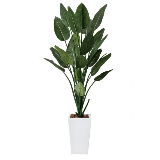 光触媒 人工観葉植物 造花 ストレチアW1.6 (高さ160cm)