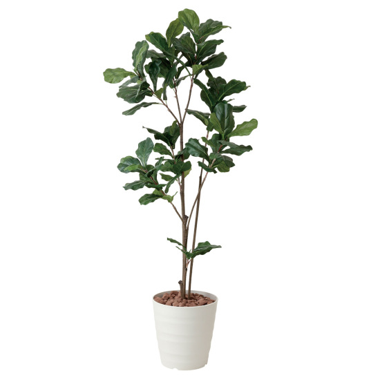 光触媒 人工観葉植物 カシワバゴム1.8 (高さ180cm)