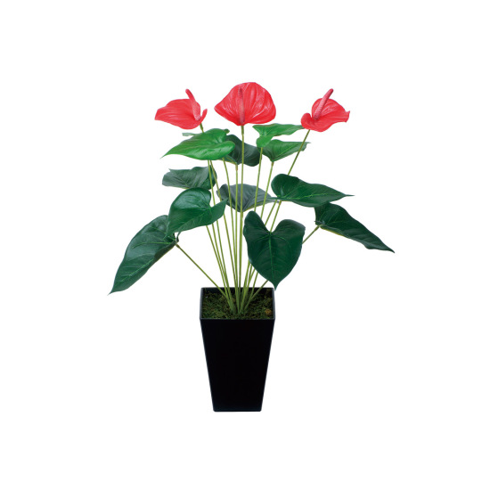 光触媒 人工観葉植物 造花 アンスリューム (高さ53cm)