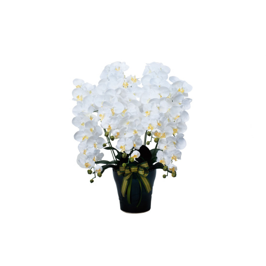 光触媒 人工観葉植物 造花 ロイヤル胡蝶蘭5本立W (高さ76cm)