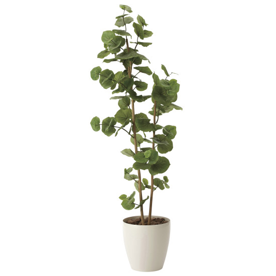 光触媒 人工観葉植物 造花 シーグレープ1.6 (高さ160cm)