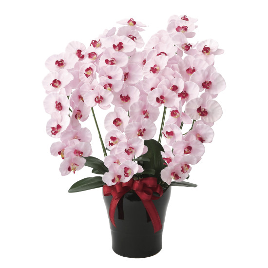 光触媒 人工観葉植物 造花 プレミアム胡蝶蘭5本立P (高さ75cm)