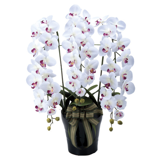 光触媒 人工観葉植物 造花 プレミアム胡蝶蘭5本立W/AB (高さ75cm)