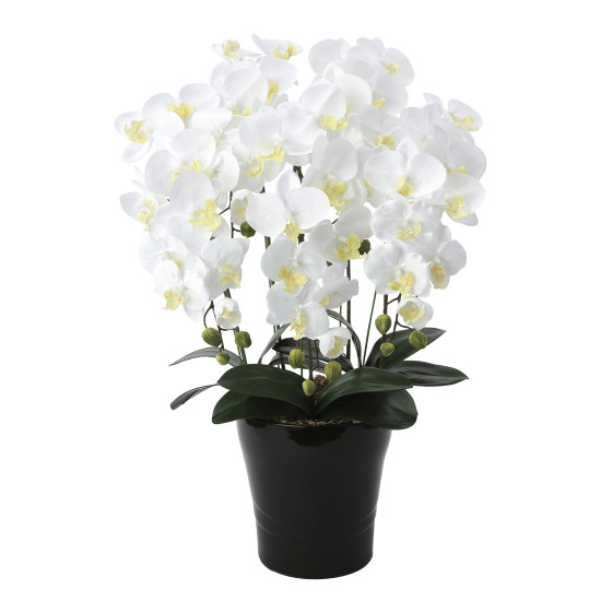 光触媒 人工観葉植物 造花 クイーン胡蝶蘭5本立W (高さ74cm)