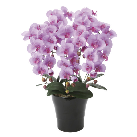 光触媒 人工観葉植物 造花 クイーン胡蝶蘭5本立L (高さ74cm)