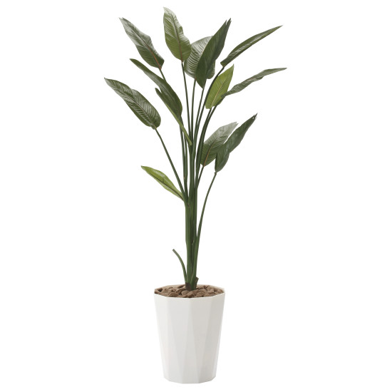 光触媒 人工観葉植物 ストレチア1.6 (高さ160cm)