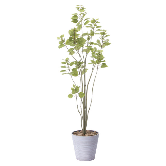 光触媒 人工観葉植物 フィカスブランチツリー1.7 (高さ170cm)