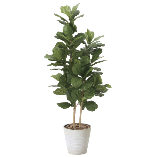 光触媒 人工観葉植物 造花 カシワバゴム1.6 (高さ160cm)