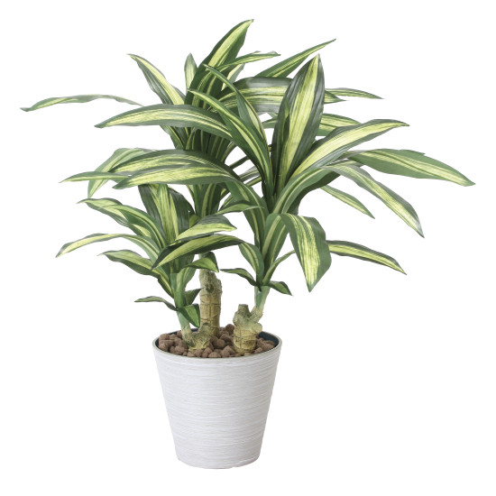 光触媒 人工観葉植物 造花 幸福の木S (高さ60cm)