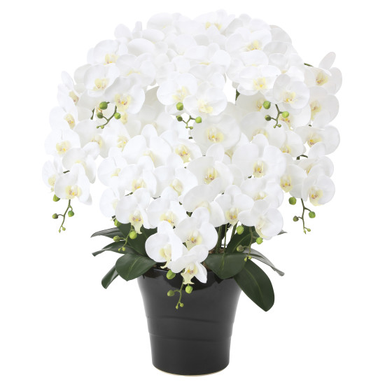 光触媒 人工観葉植物 造花 フレッシュ胡蝶蘭 8本立W (高さ75cm)