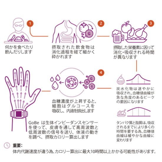 世界で唯一、自動で身体に吸収されたカロリーを計算。世界36の特許に裏打ちされたカロリー計算の仕組み