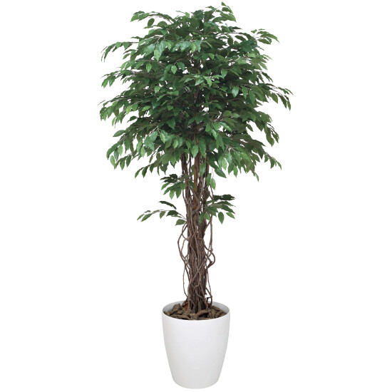 光触媒 人工観葉植物 造花 ベンジャミンリアナ 1.8 (高さ180cm)
