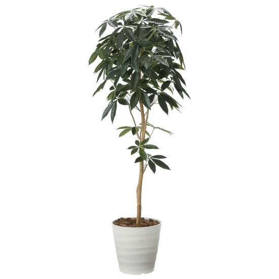 光触媒 人工観葉植物 デザインパキラ1.6 (高さ160cm)