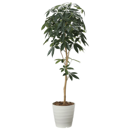 光触媒 人工観葉植物 造花 デザインパキラ1.6 (高さ160cm)