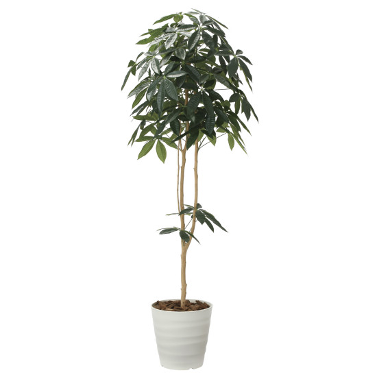 光触媒 人工観葉植物 造花 デザインパキラ1.8 (高さ180cm)