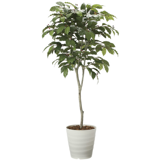 光触媒 人工観葉植物 造花 コーヒーツリー1.8 (高さ180cm)