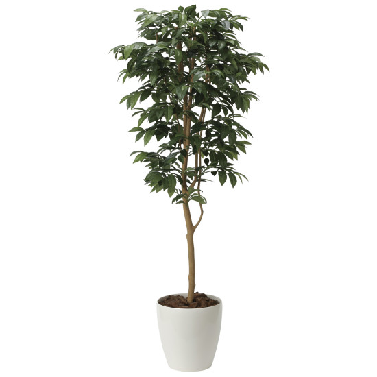 光触媒 人工観葉植物 アルデシア(万両)1.6 (高さ160cm)