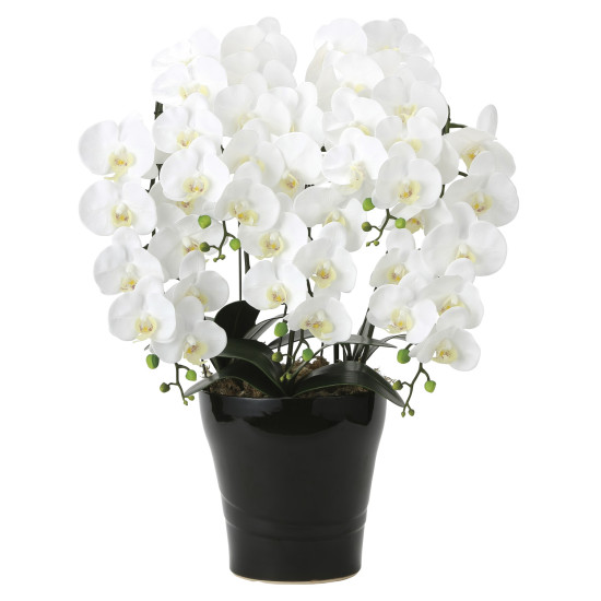 光触媒 人工観葉植物 造花 フレッシュ胡蝶蘭 5本立W (高さ72cm)