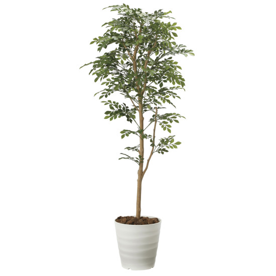 光触媒 人工観葉植物 造花 トネリコ 1.6 (高さ160cm)