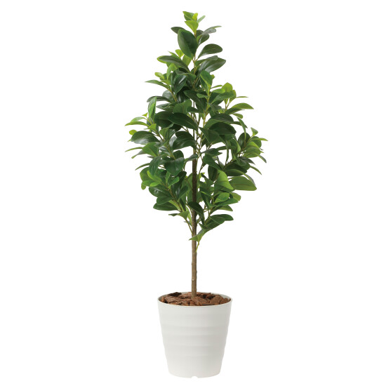 光触媒 人工観葉植物 造花 フレッシュマネーツリー1.15 (高さ115cm)